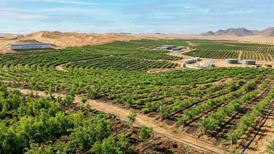 Saudi Arabia restores 1 million hectares of land, plants over 159 million trees under green initiative