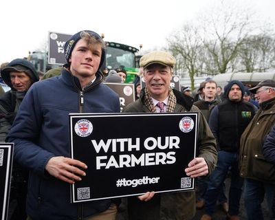 Nigel Farage’s farming adviser calls for wheat prices to double