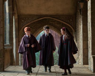 HBO Max pins hopes on Friends and Harry Potter to win UK streaming war