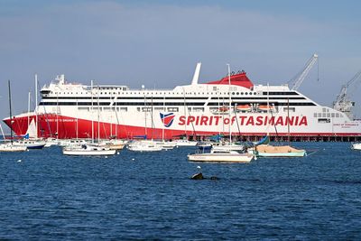 Two Australian states make public transport free as soaring fuel prices hit commuters