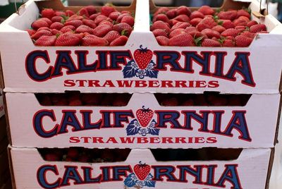 Toxic Pfas residue identified on 37% of California produce, new analysis finds