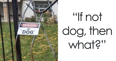 51 Signs That Became So Much Funnier Thanks To Misused Quotation Marks (New Pics)
