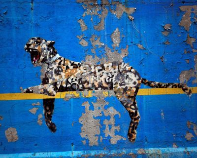 Unmasking artists like Banksy and Ferrante