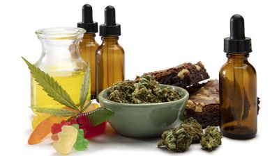 I'd made five tracks in 25 years, but after I was prescribed medical cannabis, I made an entire album in six months. So, what’s going on?