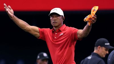 See Tiger Woods Fans Throw His Literal Mug Shot On A Shirt In Apparent Support After DUI Arrest