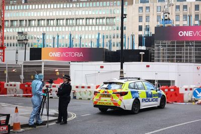 Two men arrested over fatal stabbing of man, 26, close to Westminster Abbey