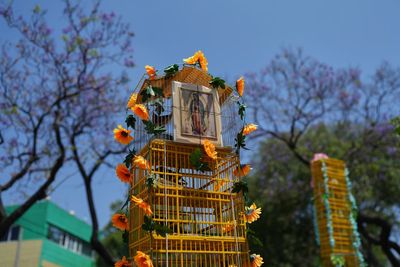 Photos of Mexico's bird vendors making their annual pilgrimage to the Basilica of Guadalupe