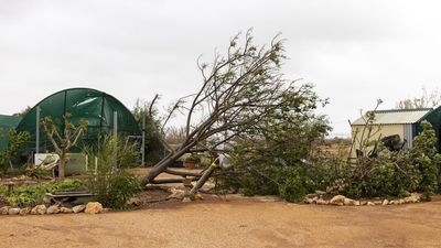 'Pretty devastating': tourism hit by rare cyclone