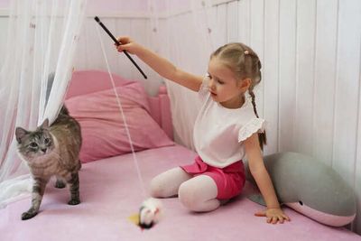 Indoor Games That Keep Cats Active