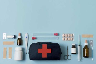 Pet First Aid Basics Every Owner Should Know