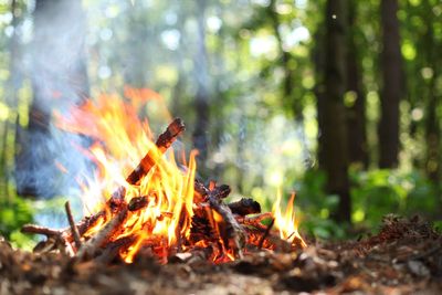 Campfire ban in Cairngorms National Park to come into force to cut wildfire risk