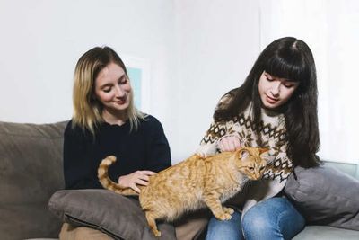 How to Build a Strong Bond with Your Cat