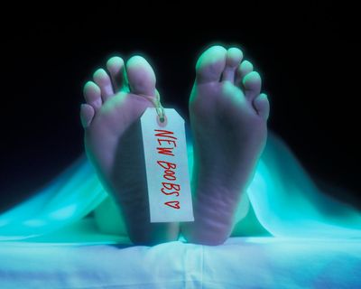 ‘He can say he went to the gym’: people are pumping themselves with fat from corpses to perk up their pecs, boobs and butts