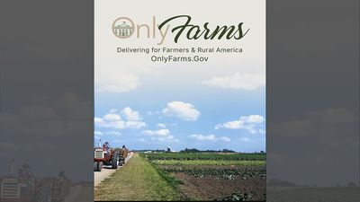 ‘Can you arrest’: The White House is busy riffing on a porn site, while Thomas Massie reminds them about Epstein’s buddies