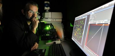 Panicking scientists, canceled experiments – federal funding cuts turned my work as a research dean into crisis management