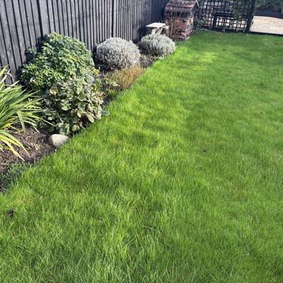 How to straighten lawn edges for a perfectly manicured lawn – 4 simple steps that any gardener can master