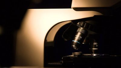 PETA can rejoice as we see the potential end of animal testing, just don’t pay attention to the horrifying lab-grown replacement