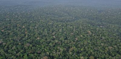 Chopping down areas of tropical rainforest is causing rising temperatures linked to thousands of deaths