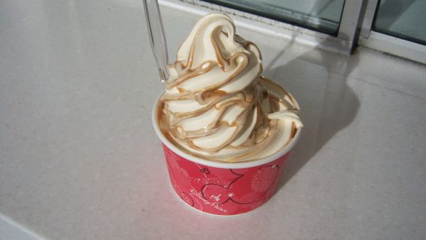 ‘I thought it was a pecan’: Florida woman takes one bite of butter pecan ice cream. What she swallowed cost her the ability to have kids