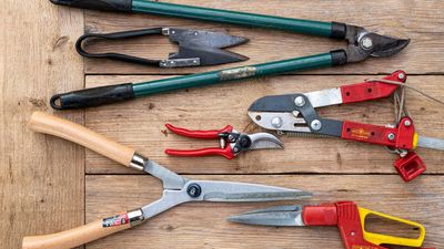 Gardeners Are Rediscovering Japanese Pruning Saws – Here’s Why Traditional Backyard Tools Work So Well