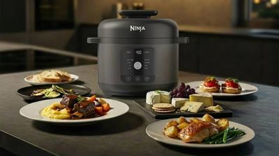 Forget air fryers – Ninja’s new pressure cooker has a clever ‘does-it-all’ cooking pot