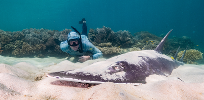 There may be 10 times as many citizen scientists in Australia as we thought – and that’s great news for science