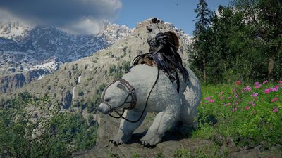 How to get the White Bear mount in Crimson Desert