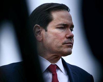 Trump news at a glance: US promotes Elon Musk’s X to fight foreign propaganda