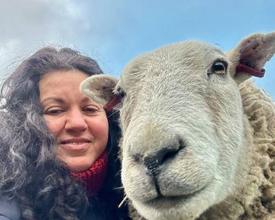 The pet I’ll never forget: Merlin the therapy sheep