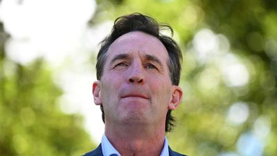 'I'm comfortable': AFL boss on blood-smearing ban