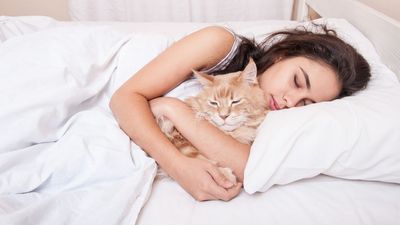 Share a bed with your cat or dog? Experts share the 3 things you need in your emergency cleaning kit to get pet pee out of a mattress