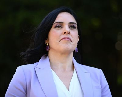 ‘Are we frustrated? Yes. Surprised? No’: how Victorian Liberal moderates’ plan to oust Moira Deeming went horribly wrong