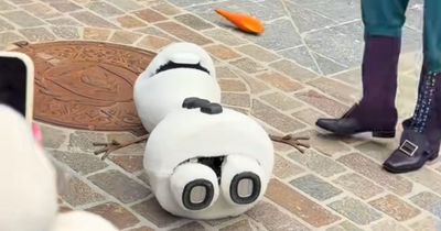 Disney’s Animatronic Olaf Suddenly Collapsed In Front Of Fans, The Internet Reacted In Hilarious Ways