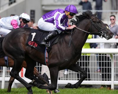 ‘The computer went bananas’: error at O’Brien yard removes horses from 2,000 Guineas