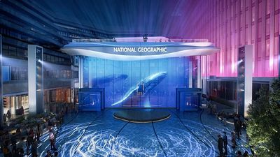 Childlike wonder and archival photography: National Geographic Museum of Exploration to open in D.C.