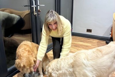 Woman spends £100 a month on ‘human food’ for her two golden retrievers