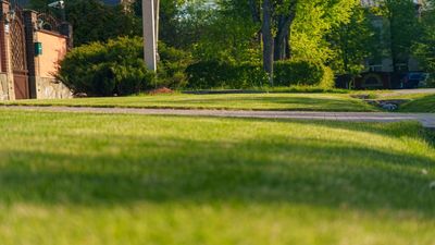 Northern Lawns Need a Different Spring Routine After a Cruel Winter – The Damage to Look for and How to Repair It