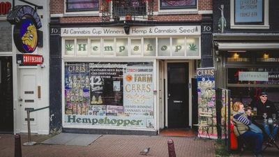 Hemp Gummy Restriction: Why Your Local Ohio Convenience Store Just Pulled These Vapes