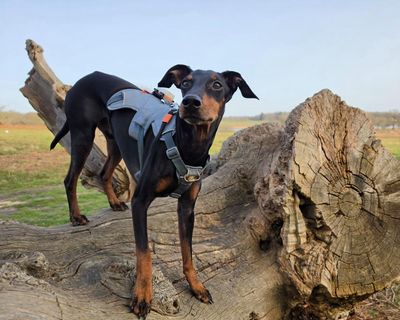 I’m a travel creator – this is how AI camera tools help me capture the moments I miss