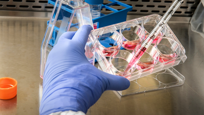 These ‘everywhere’ plastic chemicals could be fueling U.S. premature births — and they’re likely in your home