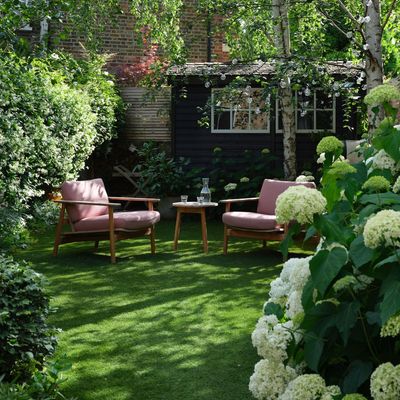 These 7 shade-loving perennials will instantly lift a dull, dark garden – they'll create a colourful haven where nothing else will grow