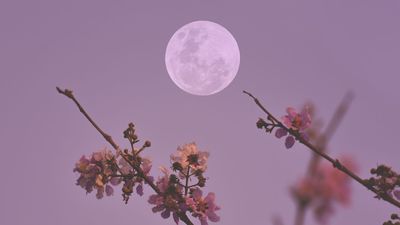 April's full moon decides the date of Easter — here's how it works