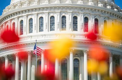 Lawmakers said they wanted to rein in their own stock trading. What happened?