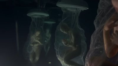 Secret Alien-Human Hybrid Breeding Program Exists? Matt Gaetz Claims US Army Briefed Him of the Project