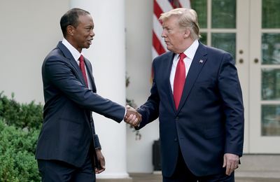 Donald Trump: Tiger Woods lives a life of pain
