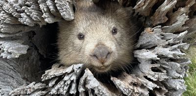 What we’ve learned from citizen science: 5 projects that made a difference