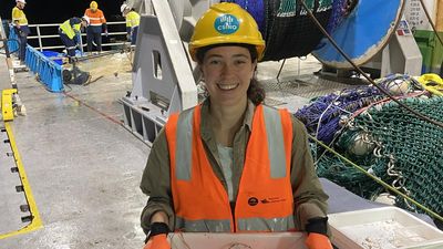 'Extraordinary' deep sea voyage finds 110 new species