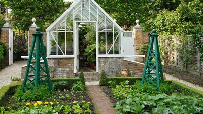 This Budget-Friendly Raised Bed Planter Is the Easiest Way to Grow Abundant Flowers in Small Gardens and Tiny Apartments