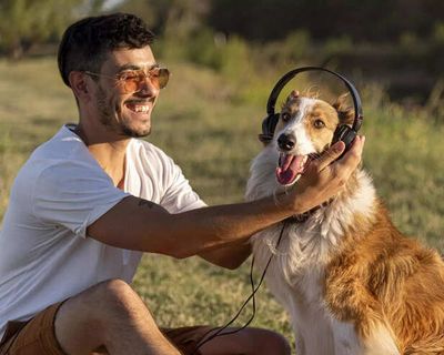 The Impact Of Music And Sensory Enrichment On Pet Behavior