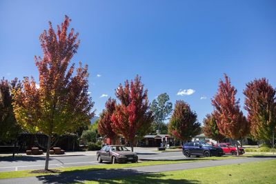 ‘It’s really polarised the population’: amid a police search for Dezi Freeman’s helpers, some sympathy towards the double-murderer remains